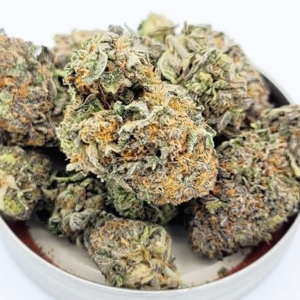 Forbidden Jelly Strain