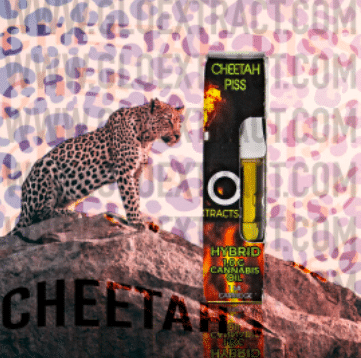 Cheetah Piss